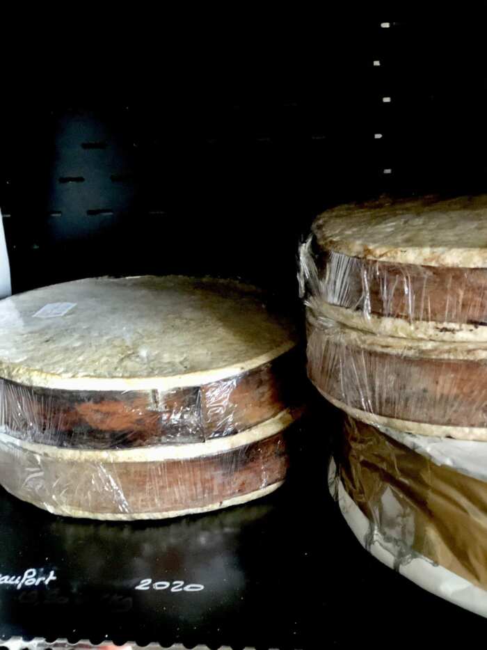 Vacherin Mont d'or ･ Pièce